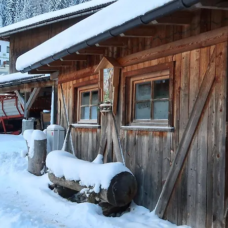 Haflingerhof Edelweiss By Interhome Lejlighed *