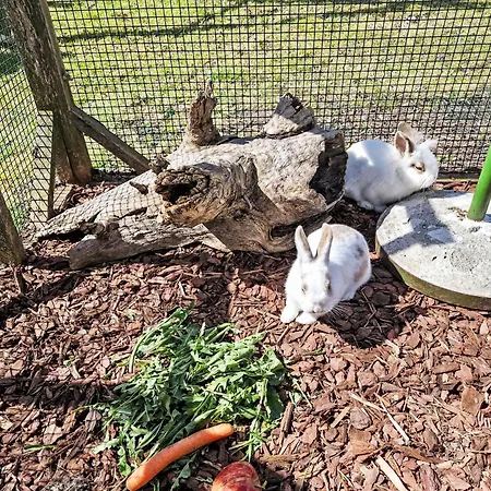 Lejlighed Haflingerhof Edelweiss By Interhome Kaunertal