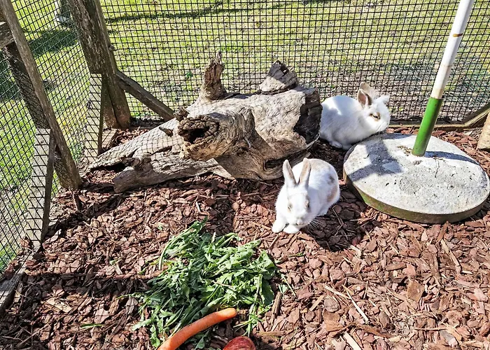 Διαμέρισμα Haflingerhof Edelweiss By Interhome Kaunertal